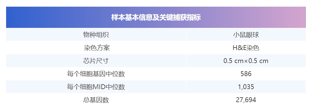 微信截图_20241125162030