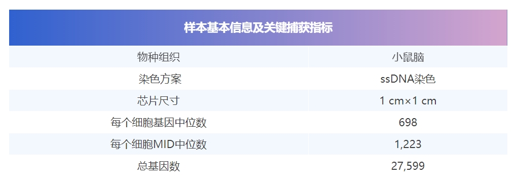 微信截图_20241125162251