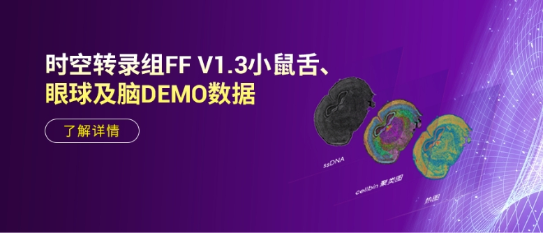 DEMO上新 | 性能卓越！时空转录组FF V1.3深入刻画组织结构空间特征