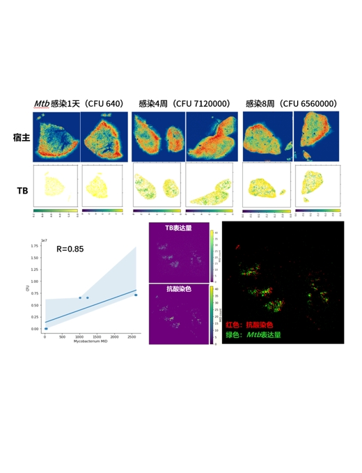 Cell | 一文回顾微生物研究的百年进程