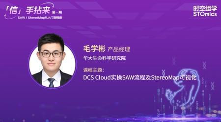 DCS Cloud实操SAW流程及StereoMap可视化