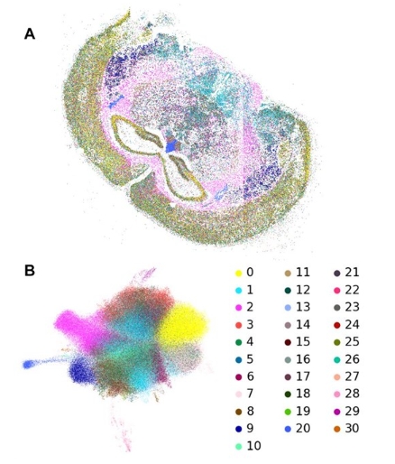 Fast analysis of Spatial Transcriptomics (FaST): an ultra lightweight and fast pipeline for the analysis of high resolution spatial transcriptomics