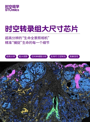 时空转录组FF V1.3大尺寸芯片产品宣传折页