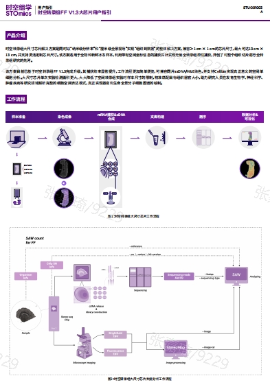 时空转录组FF V1.3大尺寸芯片产品用户指引