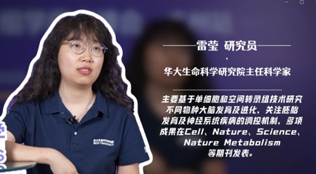 Stereo-seq助力脑科学成果登顶Cell、Science