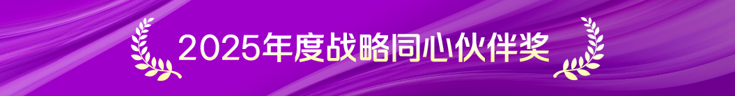 战略同心伙伴奖